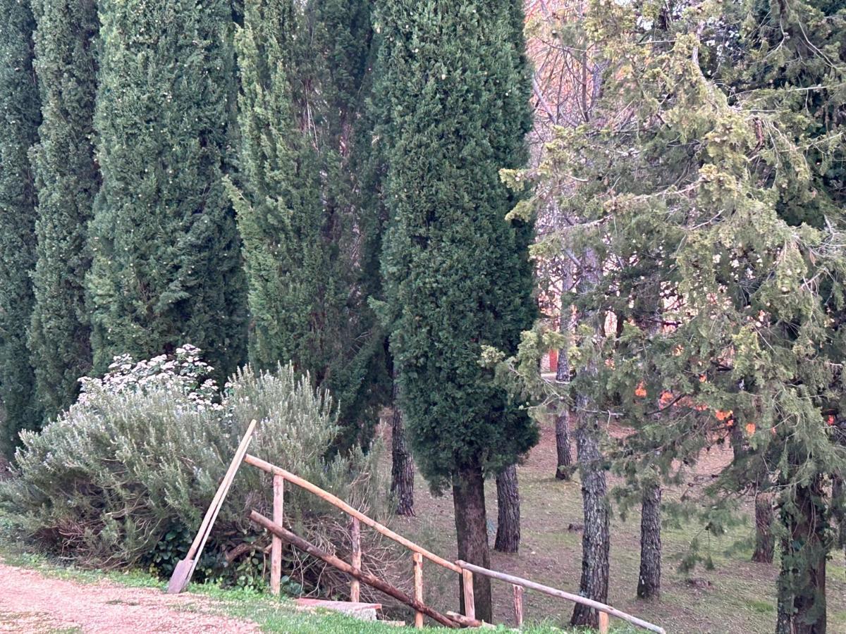 Podere Ceppeti 13 Gabellino Exterior foto